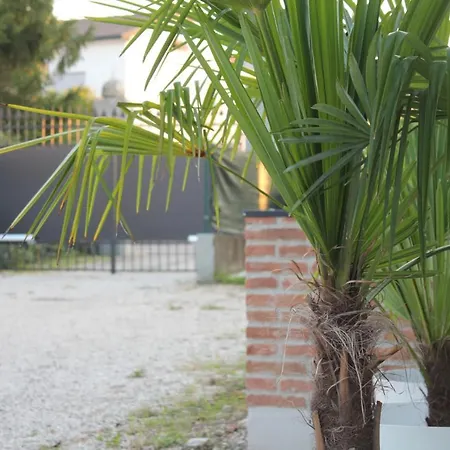 Nuovo Whynot? A فيتشنزا