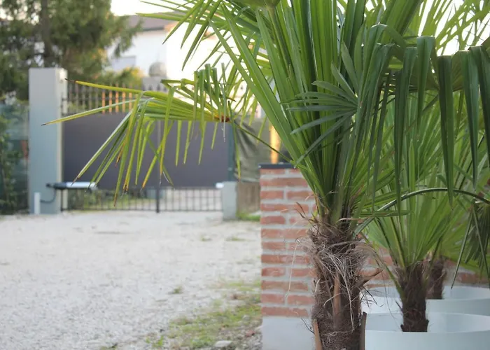 Nuovo Whynot? A فيتشنزا